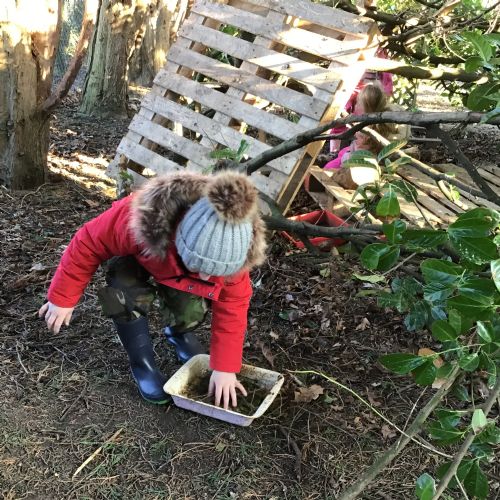 Forest School